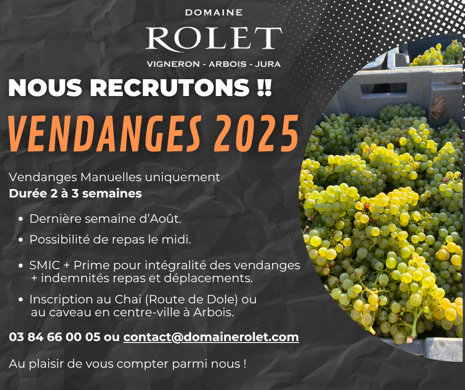 Recrutement vendanges 2025